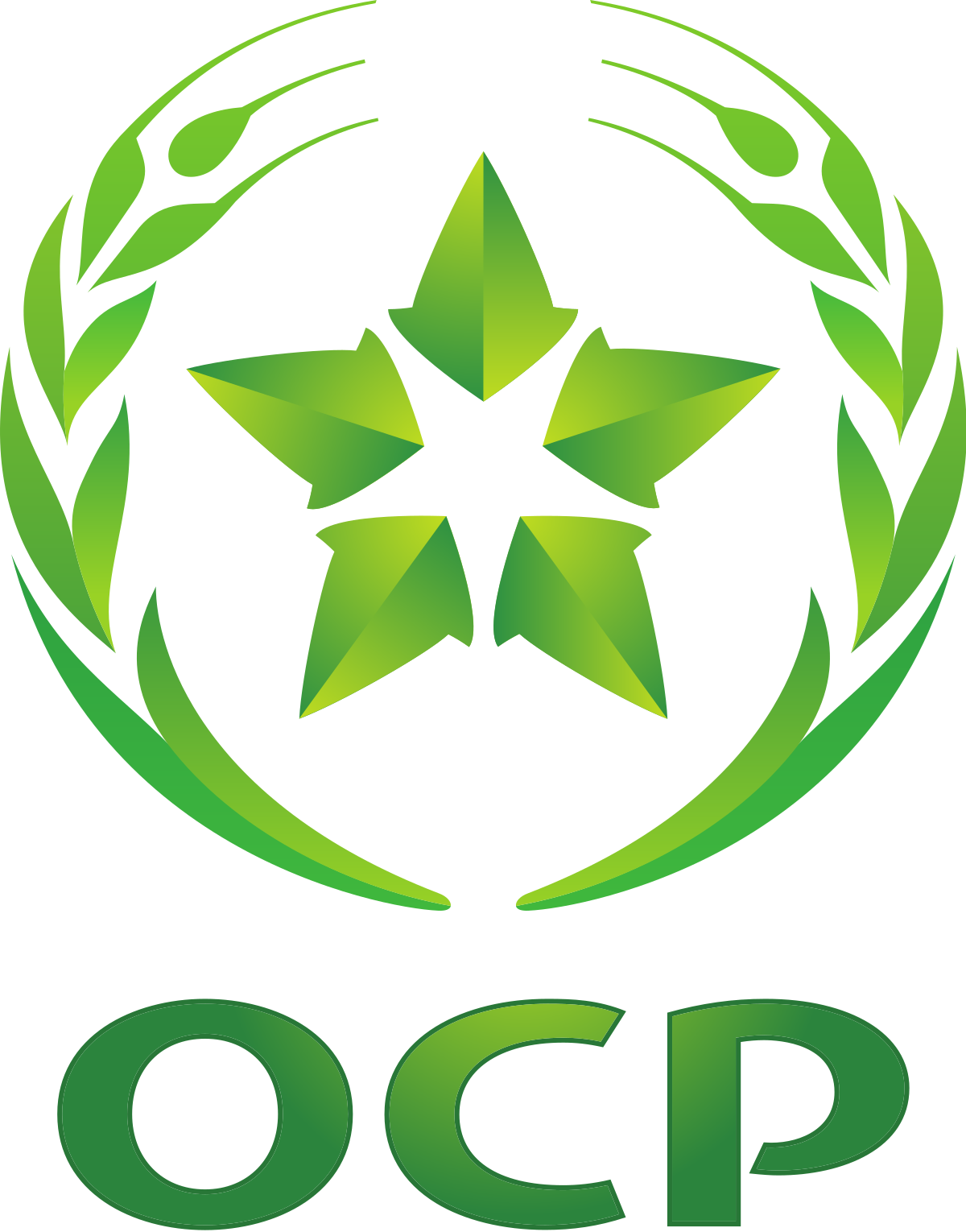 OCP Group